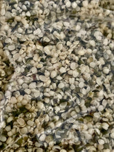 Load image into Gallery viewer, Australian Hemp Seeds.
